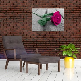 Obraz - Ružová ruža so zelenou stonkou (70x50 cm)