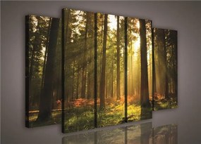 Obraz na plátne les s východom slnka 150 x 100 cm