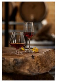 Poháre na likér v súprave 2 ks 450 ml Rocks - Zone