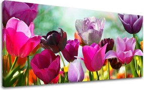 Obraz na stenu Panoráma KVETY XOBKV148E13 - 50x100 cm