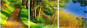 Obraz chodníky pozdĺž vody (s hodinami) (90x30 cm)