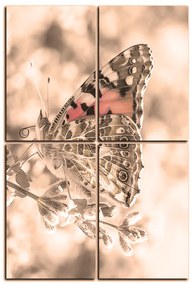 Obraz na plátne - Motýľ na levandule - obdĺžnik 7221FE (90x60 cm)