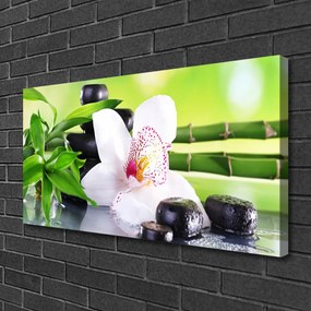 Obraz Canvas Orchidea kamene zen bambus 125x50 cm