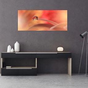 Obraz kvetinové kvapky rosy (120x50 cm)