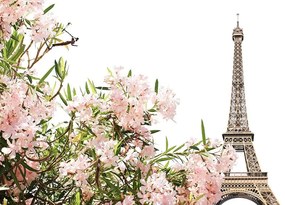 Samolepiaca fototapeta Eiffelova veža a ružové kvety - 450x300
