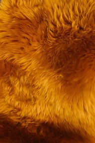 Ovčia kožušina oranžová