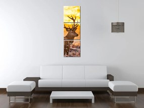 Gario Obraz s hodinami Silný jeleň - 3 dielny Rozmery: 90 x 70 cm