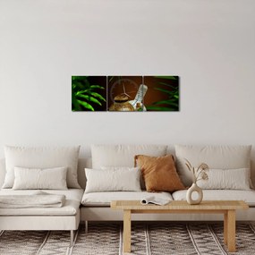 Obraz spa vecí (s hodinami) (90x30 cm)