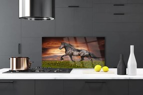 Nástenný panel  Čierny kôň lúka zvieratá 140x70 cm