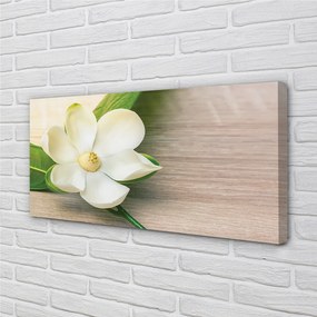 Obraz canvas biela magnólia 125x50 cm