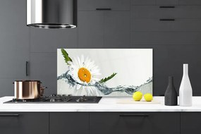 Sklenený obklad Do kuchyne Sedmokráska vo vode 100x50 cm