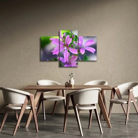 Detailný obraz kvetiny (90x60 cm)