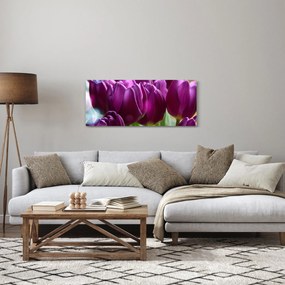 Obraz tulipánov (120x50 cm)