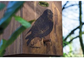 Vtáčia búdka borovicová Dobar „Drozd“ 19 x 20 x 38 cm
