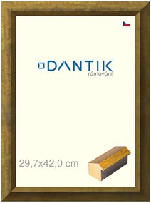 DANTIK rám na obraz 29,7x42 | Forgia Gold (Plexi Čiré)