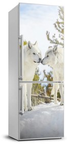 Nálepka fototapeta chladnička Dva bieli vlci FridgeStick-70x190-f-121943194