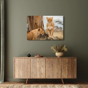 Obraz - dve levice (90x60 cm)