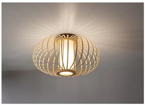 Livarno home Stropné LED svietidlo/Stolná LED lampa (stropné svietidlo)  (100385198)