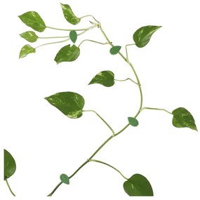 Podpora rastlín 10 ks z recyklovaného plastu (výška 3 cm) – Esschert Design