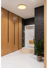 Globo 12381-22 - LED Stropné svietidlo TIBEY LED/22W/230V pr. 35 cm