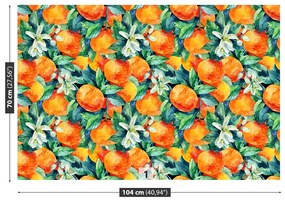 Fototapeta Vliesová Oranžové plody 104x70 cm