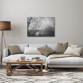Sklenený obraz - Lúka po daždi (70x50 cm)