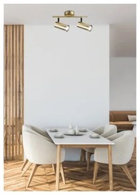 Bodové svietidlo COLLY 2xGU10/15W/230V zlatá