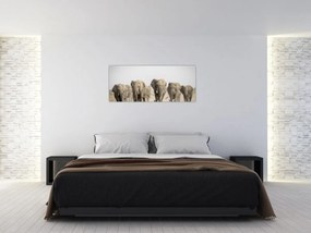 Obraz - Slonie stádo (120x50 cm)