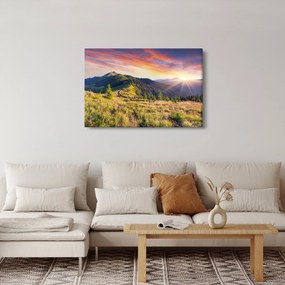 Obraz - Lesná krajina (90x60 cm)