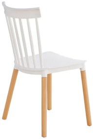 Jedálenská stolička ALCA — masív buk/plast, biela