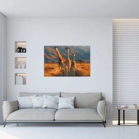 Obraz - Žirafy na pastvine (90x60 cm)