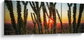Obraz - Rastliny (s hodinami) (90x30 cm)
