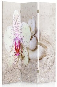 Gario Paraván Zen Sand Rozmery: 110 x 170 cm, Prevedenie: Klasický paraván