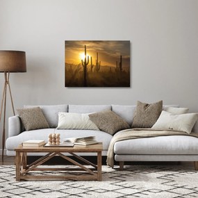 Sklenený obraz - Kaktusy Saguaro (70x50 cm)