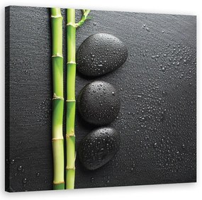 Obraz na plátně, Bambusové a Zen kameny - 40x40 cm