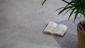 PVC podlaha Viva Prato S90 sivá