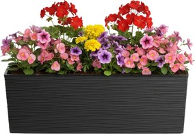 Sada 2 ks květináčů Riflo 56×19/36,2×56,1 cm černá