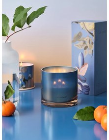 Vonná sviečka doba horenia 50 h Citrus Crush - ILLUME x Bloomingville