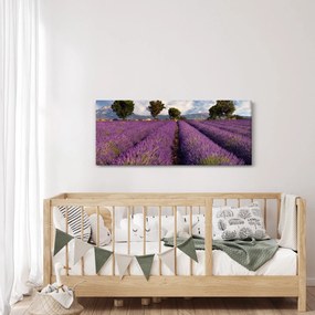 Obraz - Levanduľové pole a hory (120x50 cm)