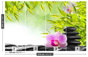 Fototapeta Vliesová Bambus a orchidea 250x104 cm