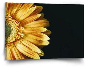 Sablio Obraz Žltá gerbera - 90x60 cm