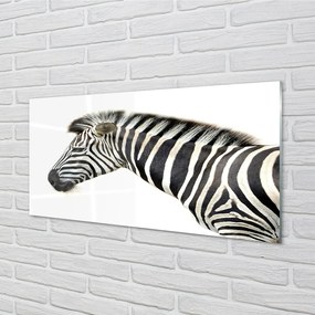 Sklenený obraz zebra 125x50 cm