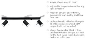 Čierne stropné svietidlo Sollux Etna 4L