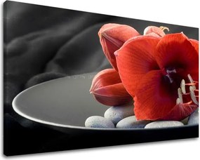 Obraz na stenu FENG SHUI FS032E11