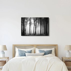 Obraz - Vlk v temnom lese (90x60 cm)