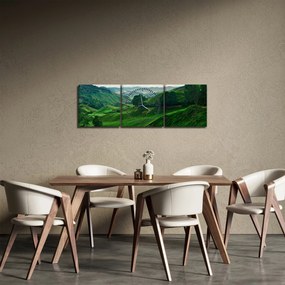 Obraz - Čajové plantáže v Malajzii (s hodinami) (90x30 cm)