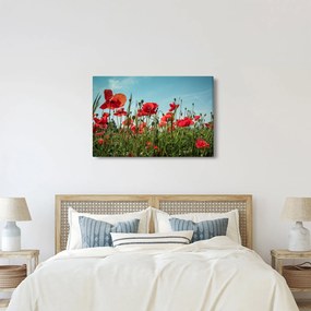 Obraz - Na poli vlčích makov (90x60 cm)