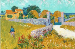 Obraz - Vincent van Gogh, Farmhouse in Provence, reprodukcia (90x60 cm)
