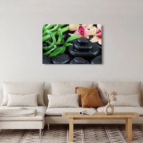 Obraz - Kamene a orchidey (90x60 cm)