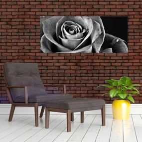 Obraz - Ruža, čiernobiela (120x50 cm)